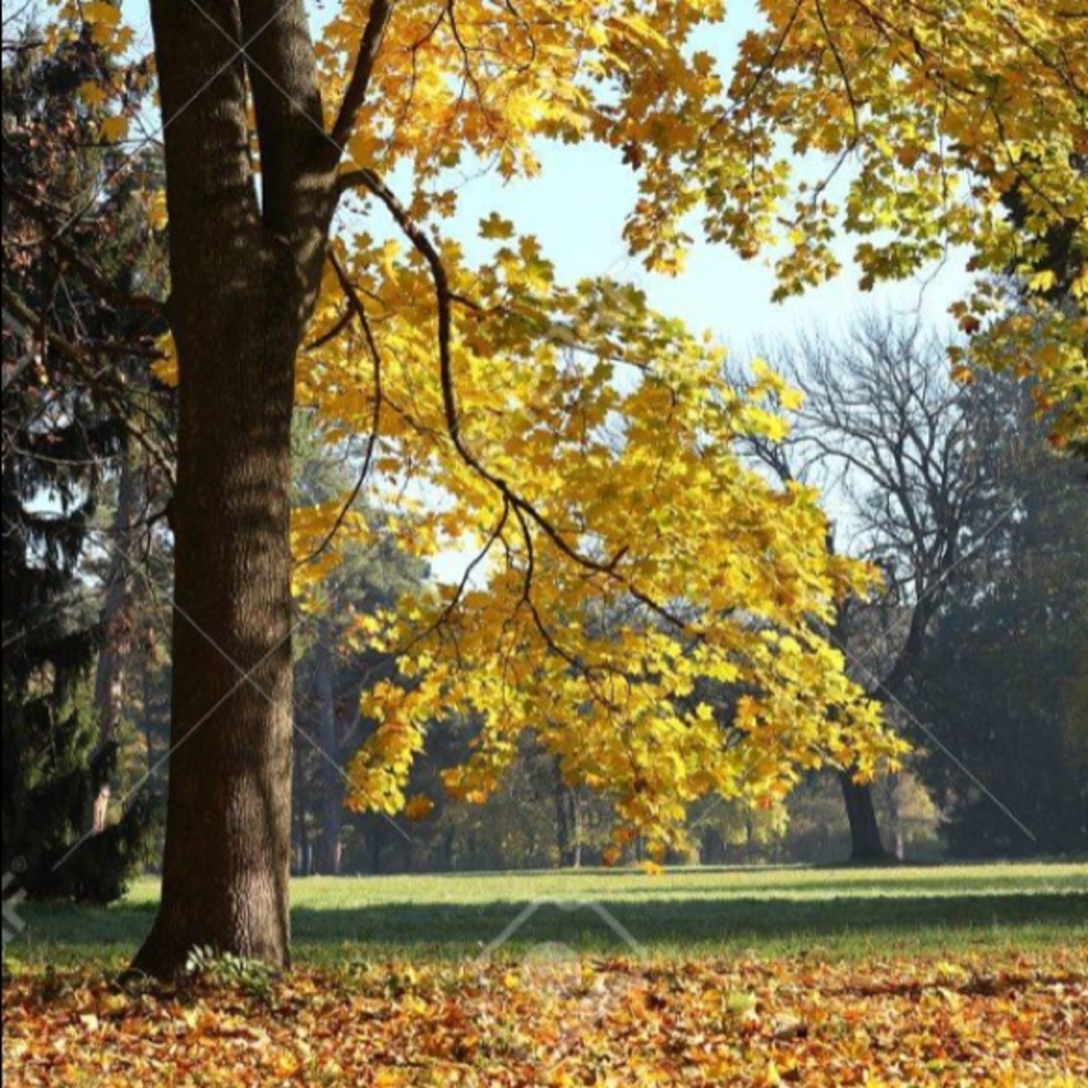 Meet your Posher, Gigi